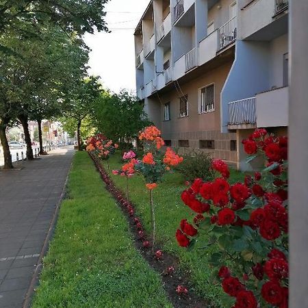 Apartman Borak Daire Kladovo Dış mekan fotoğraf